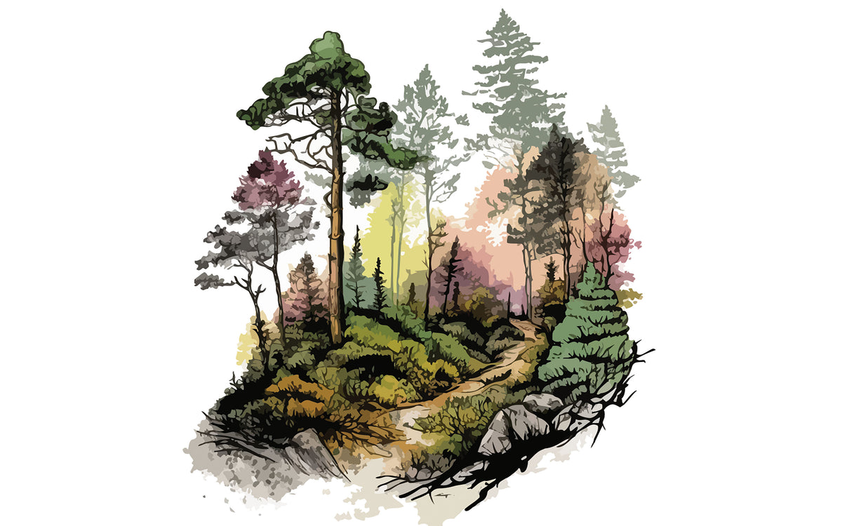 Aperçu du cadrage de Forêt de pins dans la brume – Vert