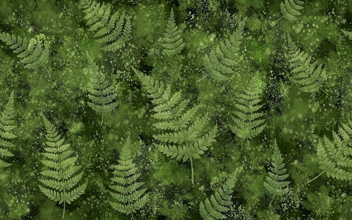 Aperçu du cadrage de Fougères – Vert mousse
