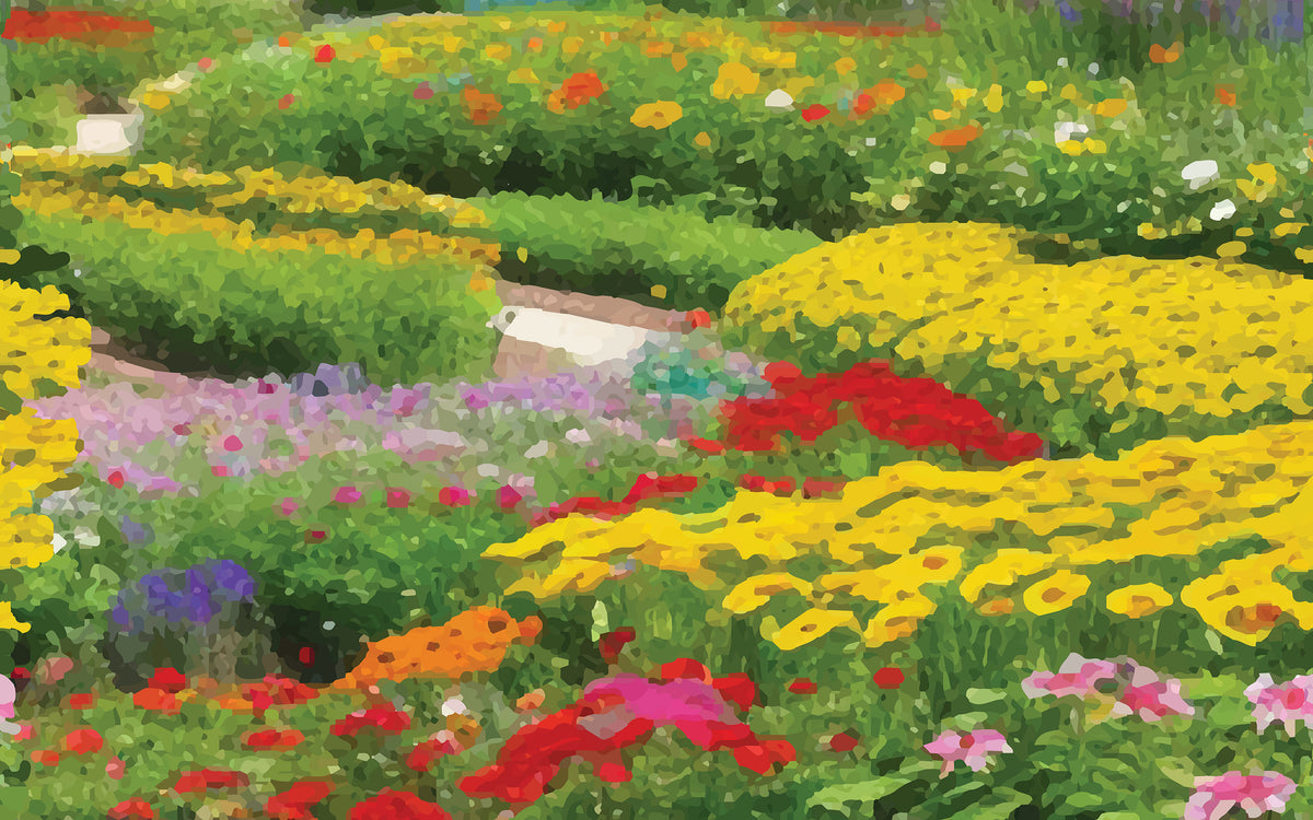 Aperçu du cadrage de Jardin fleuri – Multicolore