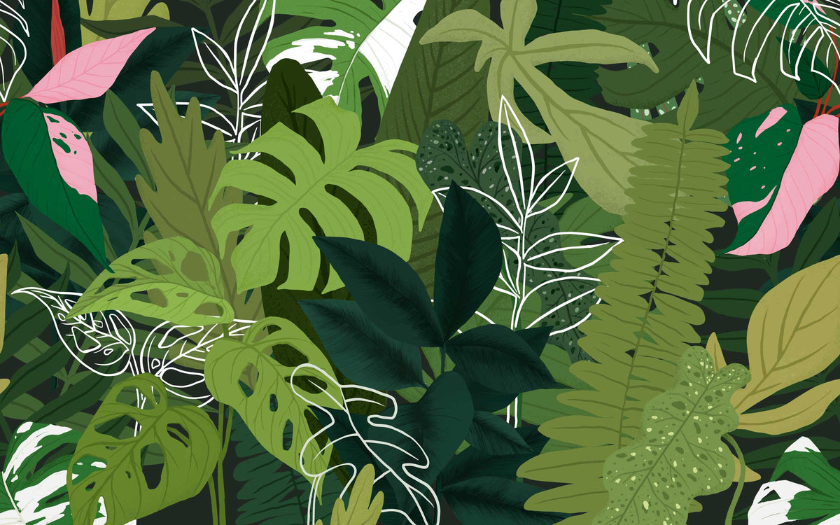 Aperçu du cadrage de Canopée de monstera – Vert