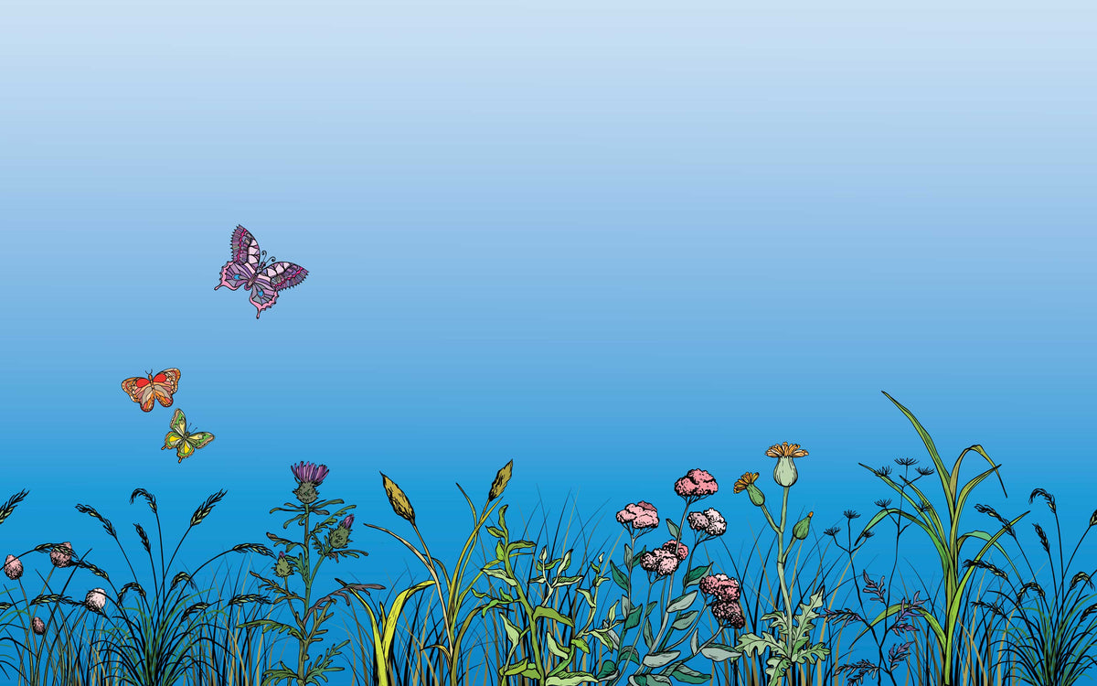 Aperçu du cadrage de Prairie et ciel bleu – Bleu