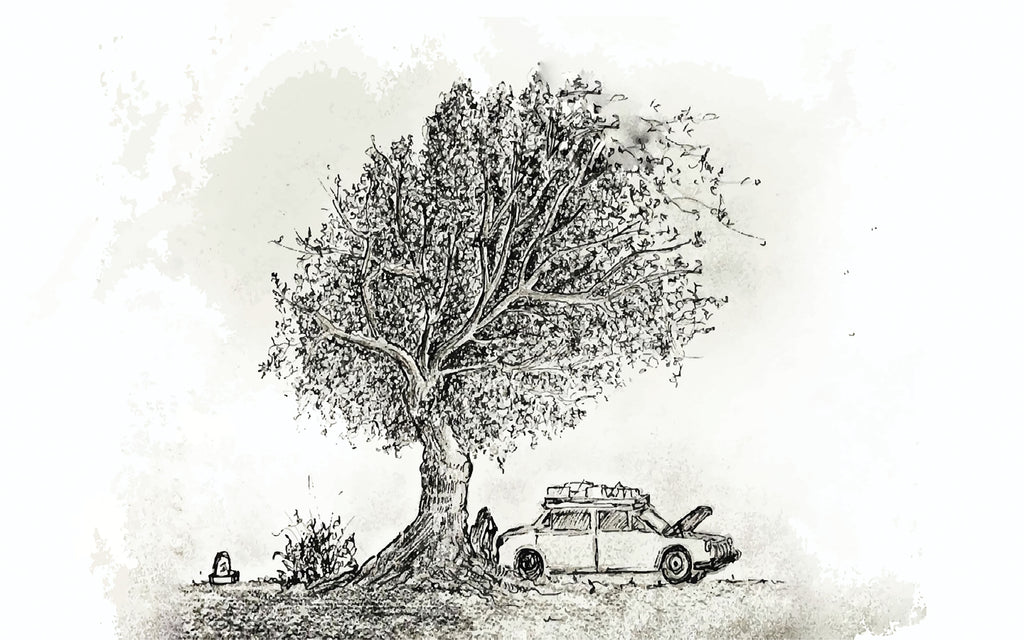 Détail du motif du papier peint panoramique Arbre et voiture ancienne