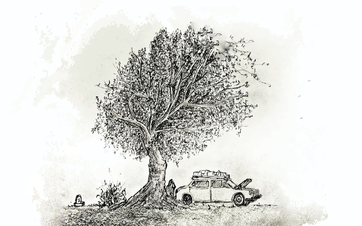 Détail du motif du papier peint panoramique Arbre et voiture ancienne