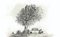 Détail du motif du papier peint panoramique Arbre et voiture ancienne
