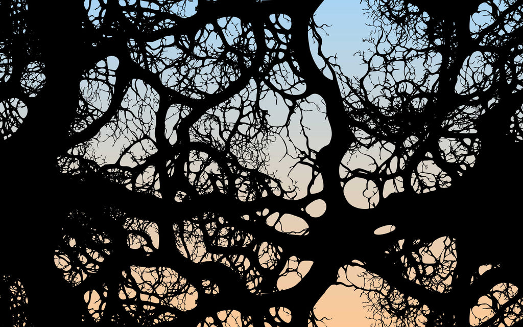 Détail du motif du papier peint panoramique Branches au couchant