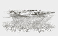 Détail du motif du papier peint panoramique Champ au crayon