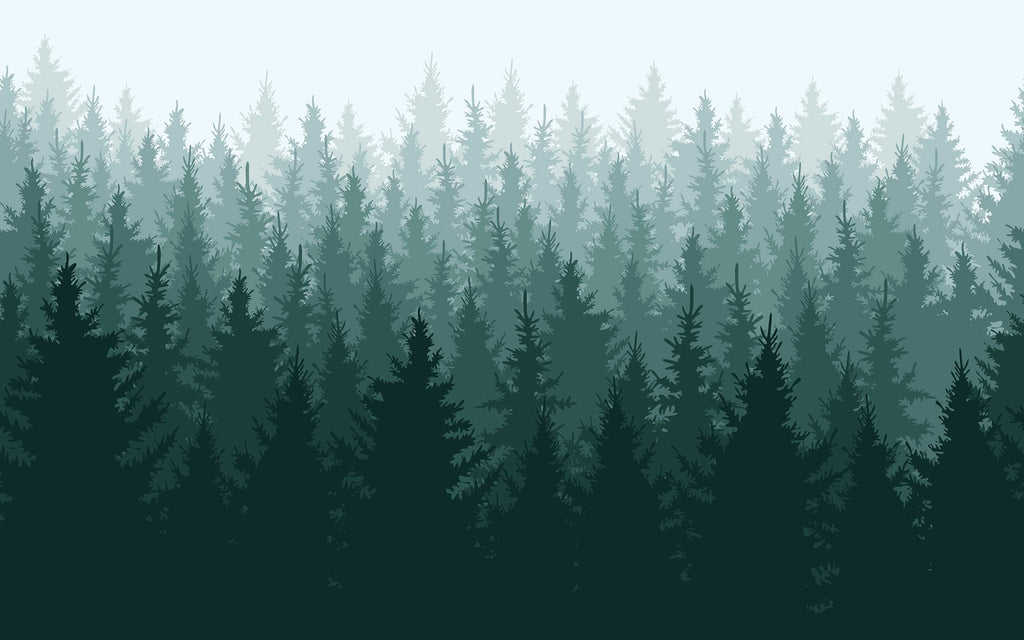 Détail du motif du papier peint panoramique Sapins dans la brume