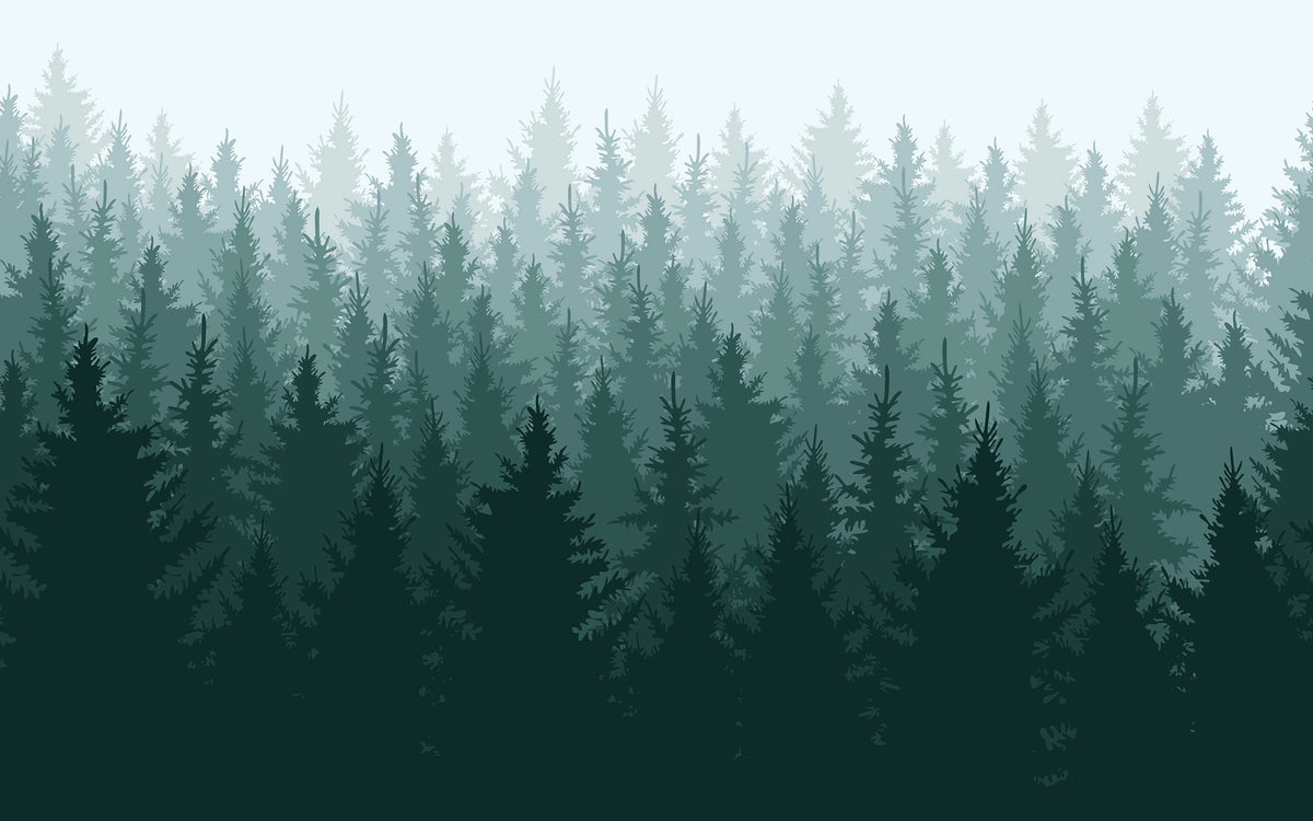 Détail du motif du papier peint panoramique Sapins dans la brume