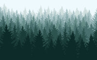Détail du motif du papier peint panoramique Sapins dans la brume