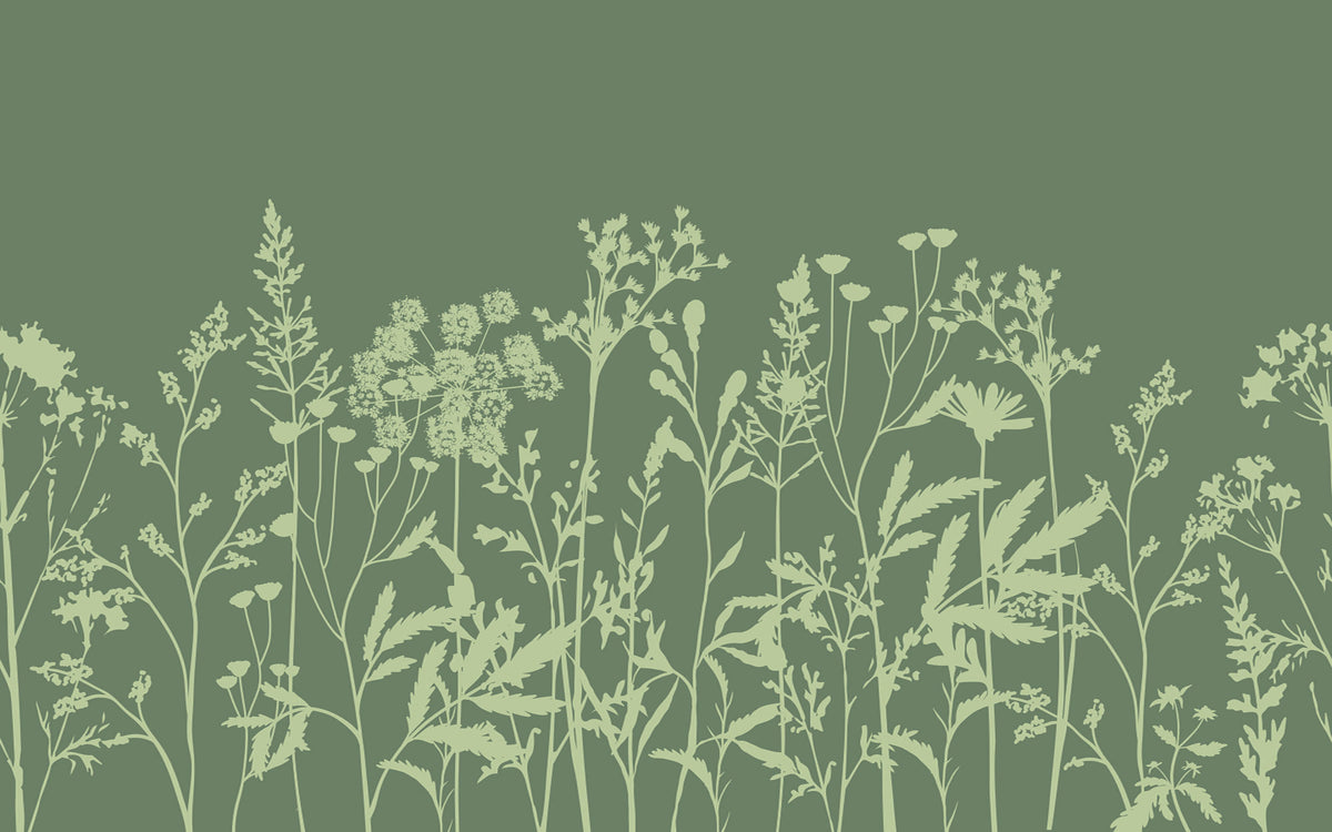 Détail du motif du papier peint panoramique Herbes sauvages