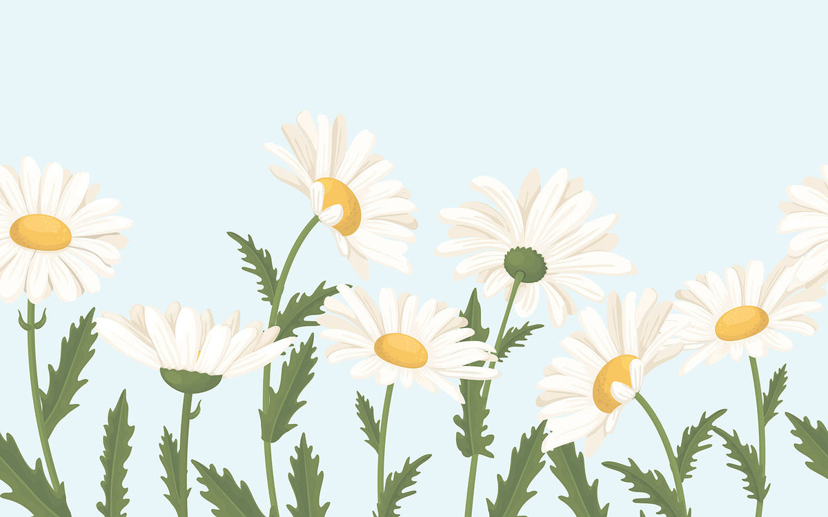 Détail du motif du papier peint panoramique Marguerites
