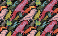 Détail du motif du papier peint panoramique Perroquets et toucans