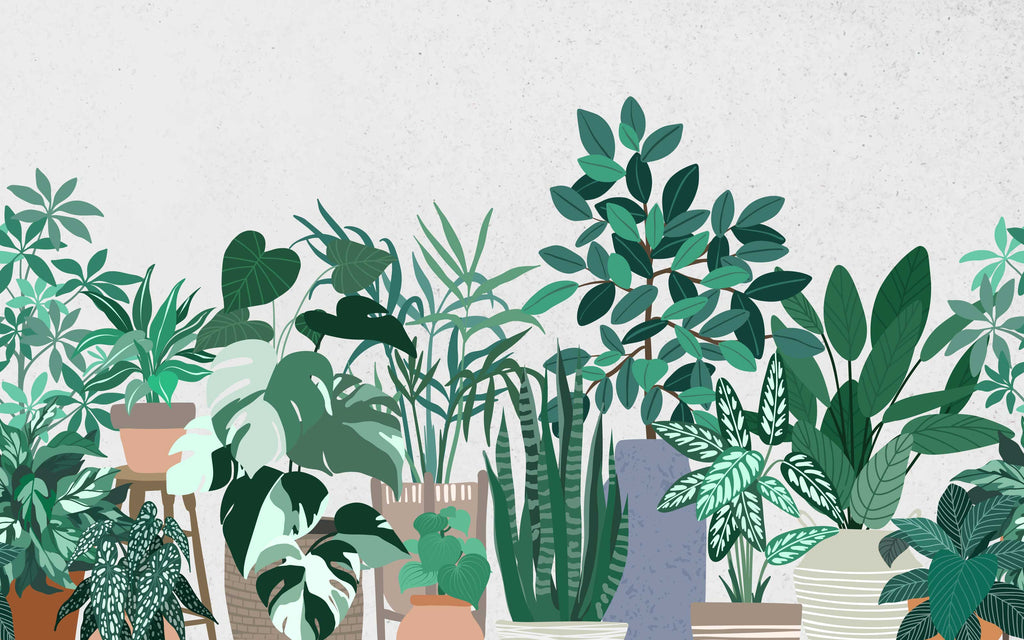 Détail du motif du papier peint panoramique Plantes en pots