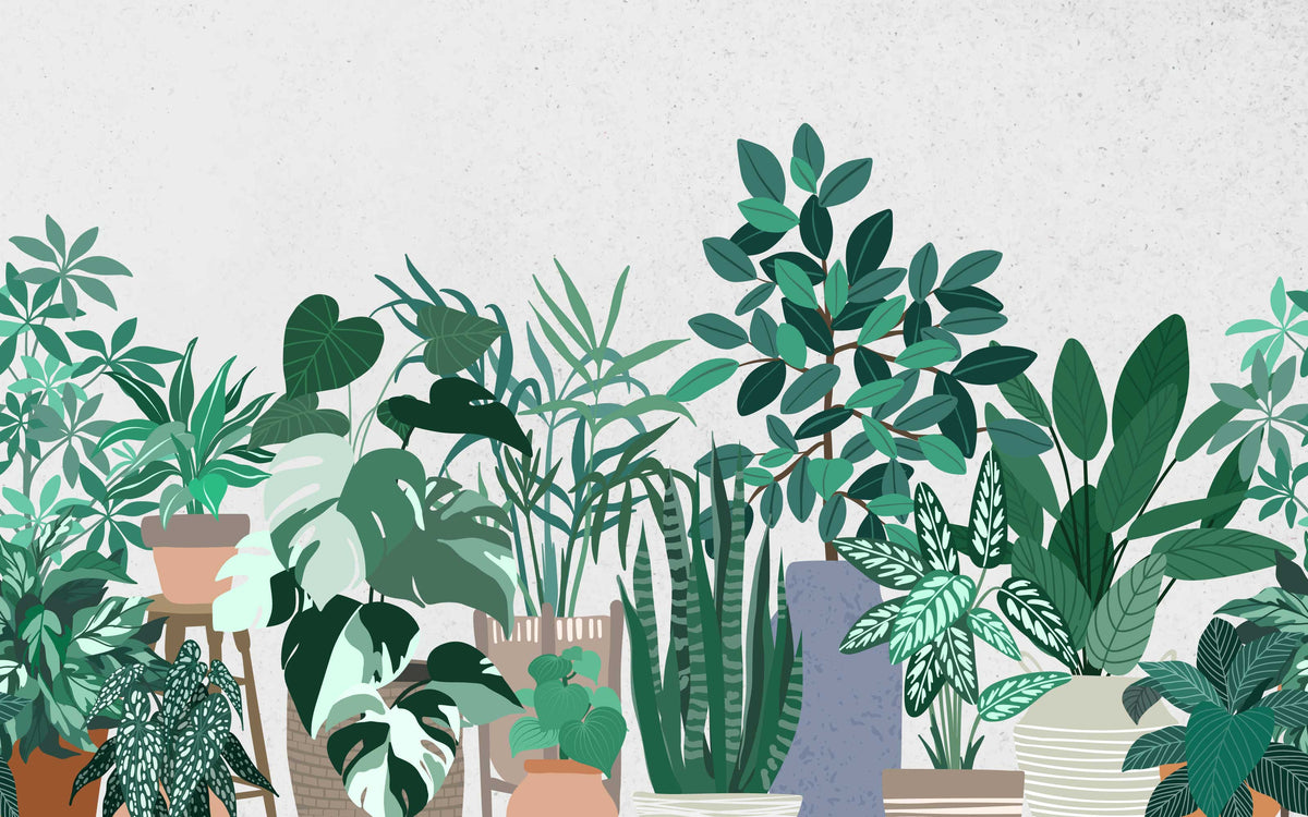 Détail du motif du papier peint panoramique Plantes en pots
