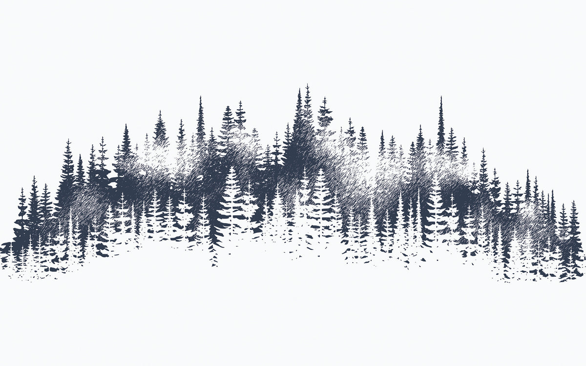 Détail du motif du papier peint panoramique Sapins à l’encre